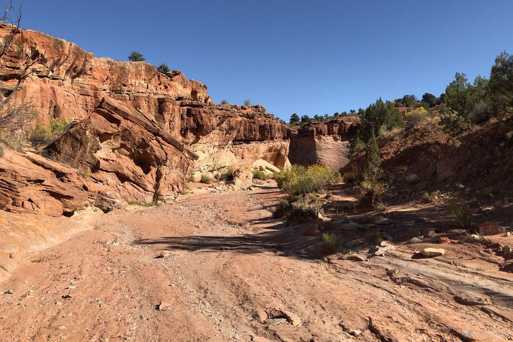 Le sentier emprunte le petit wash avec d'arriver au large Harris Wash.