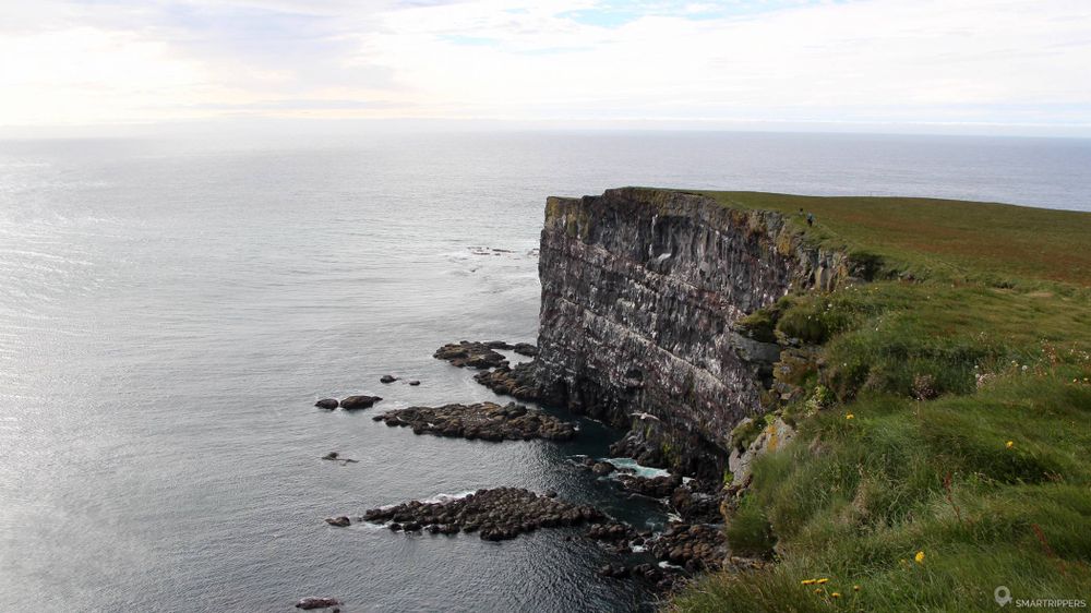 Les falaises de Látrabjarg.