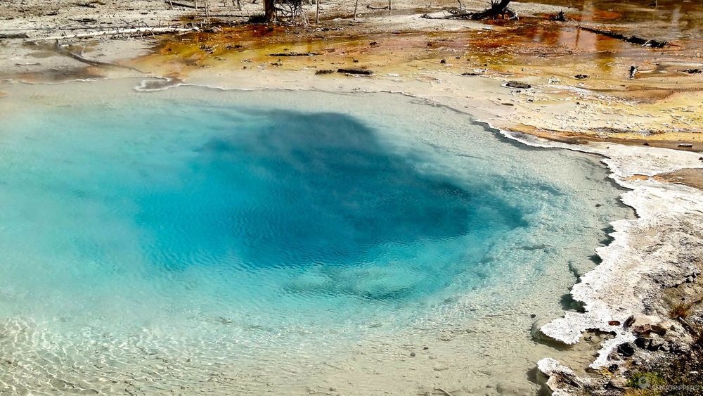 Les dégradés de couleurs de Silex Spring.