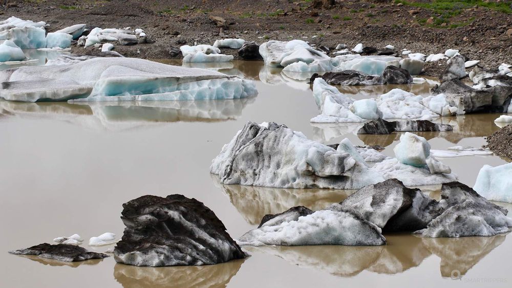Les petits bouts d'icebergs finissent leur vie